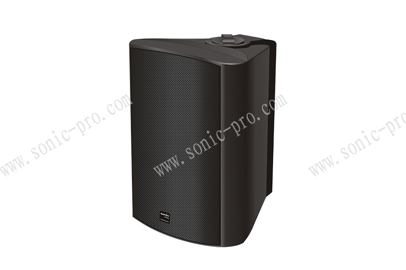 广西IP40S IP网络POE塑料音箱