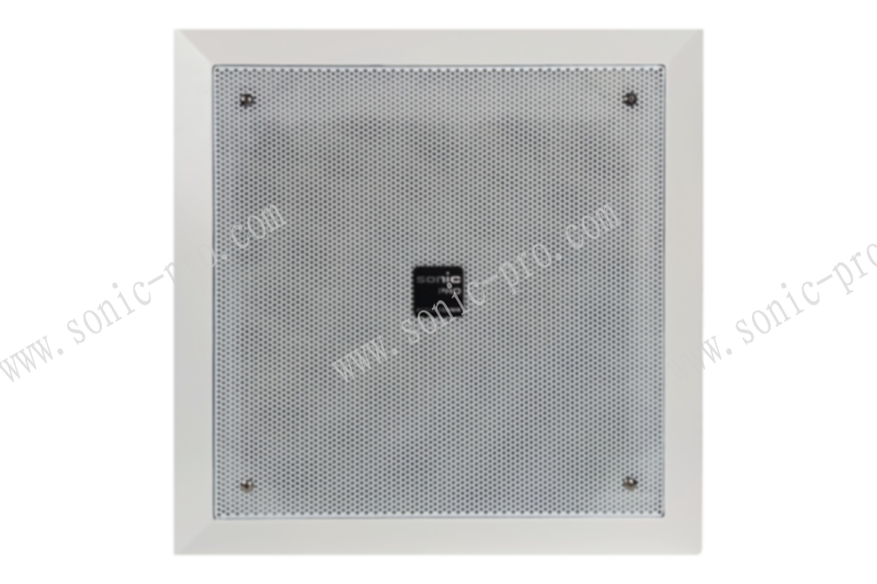 广西CX-6.5XD  音箱