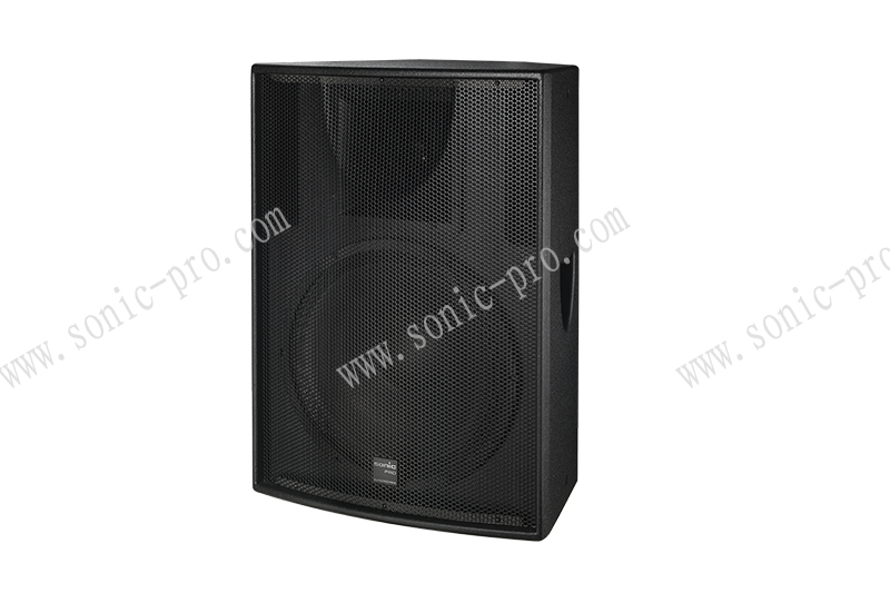 广西PX-10  10寸音箱