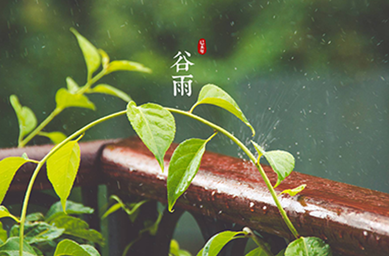 广西谷雨时节丨万物生长