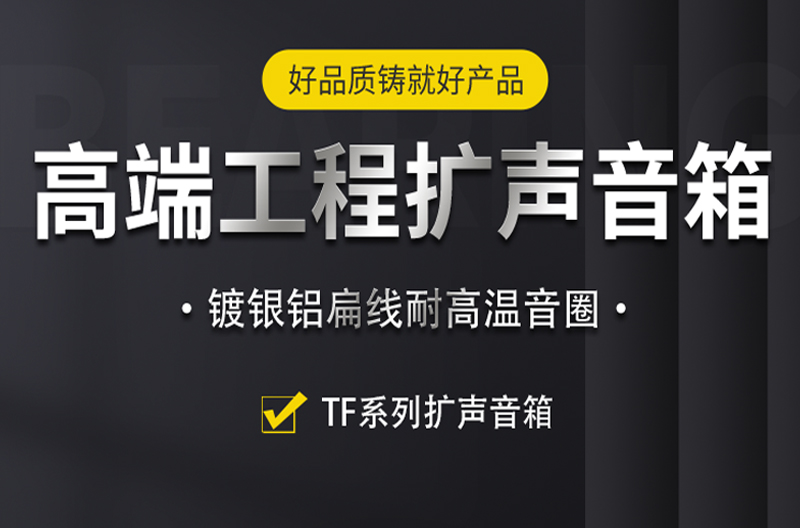 广西TF系列高端工程扩声系列音箱